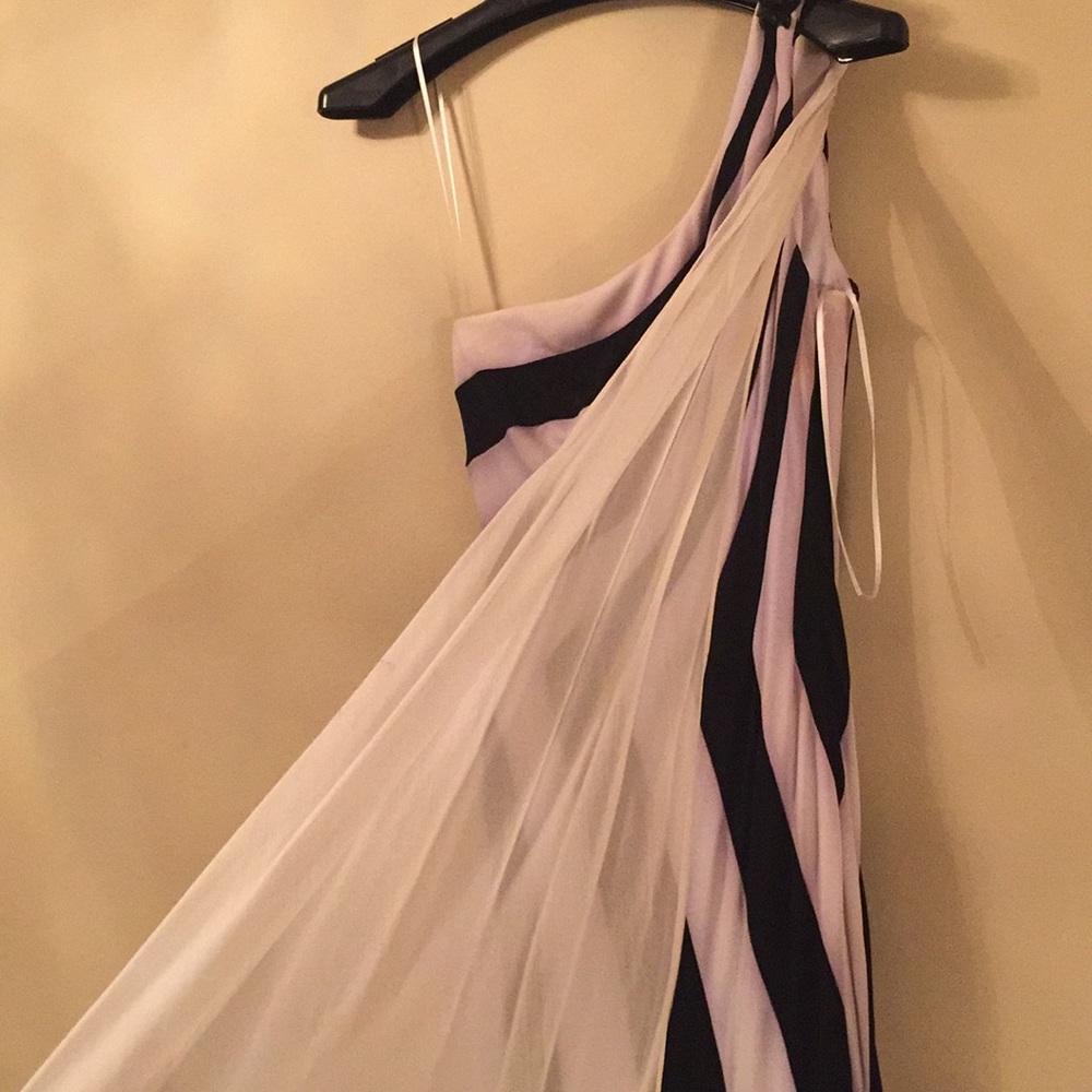 Alberto Makali Black & White Stripe Dress Size 6 - Picture 5 of 7